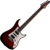 Vigier Excalibur Speciaal HSH (RW)