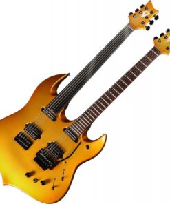 Vigier Ron Thal Double B Foot - Guitare Signature Double Manche